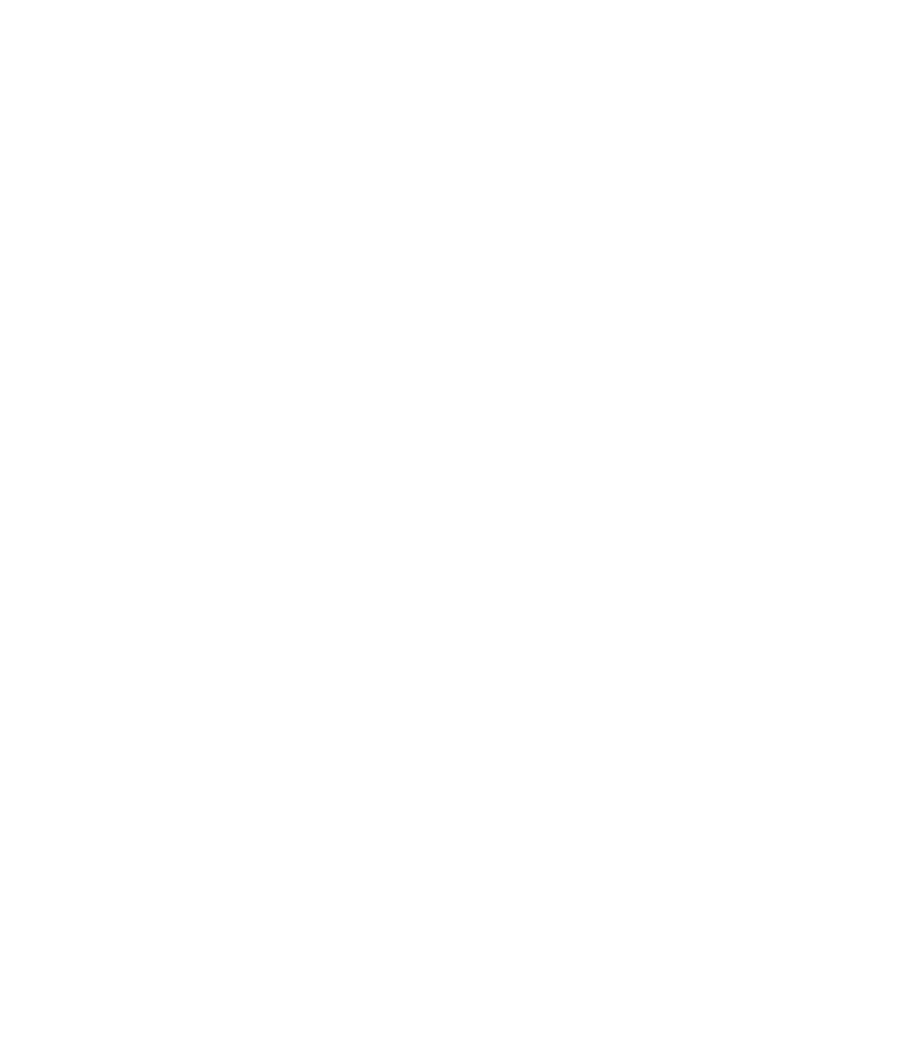  Déneigement de toit