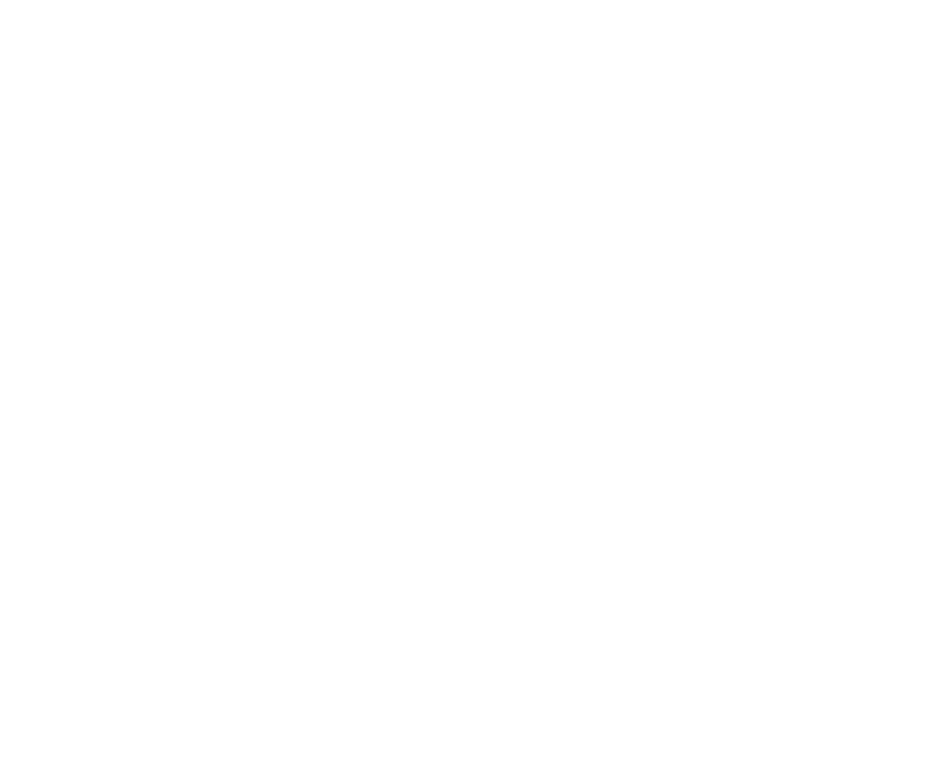 Dispositifs anti-oiseaux